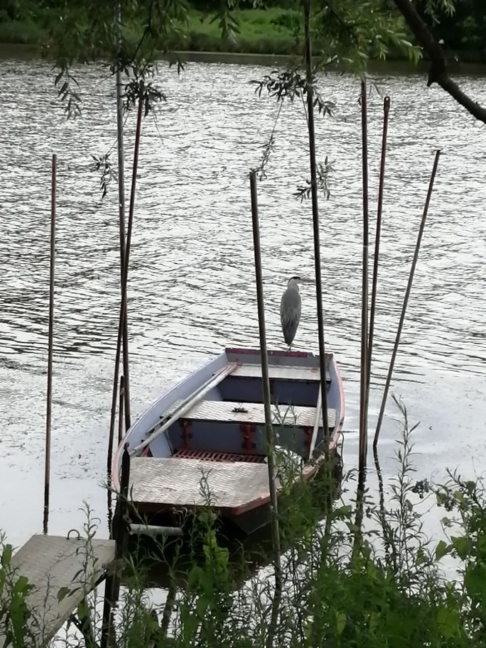 photo_2021-07-12_18-34-52