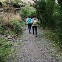 photo_2021-07-10_13-56-33 