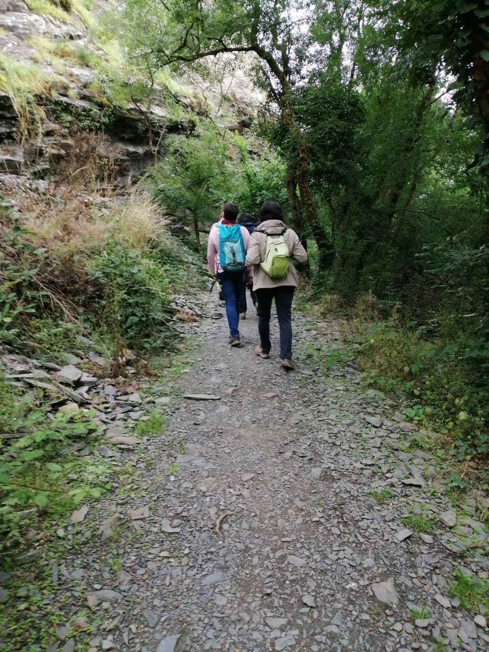 photo_2021-07-10_13-56-33