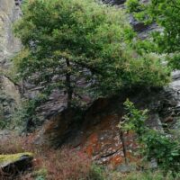 photo_2021-07-11_16-46-21 