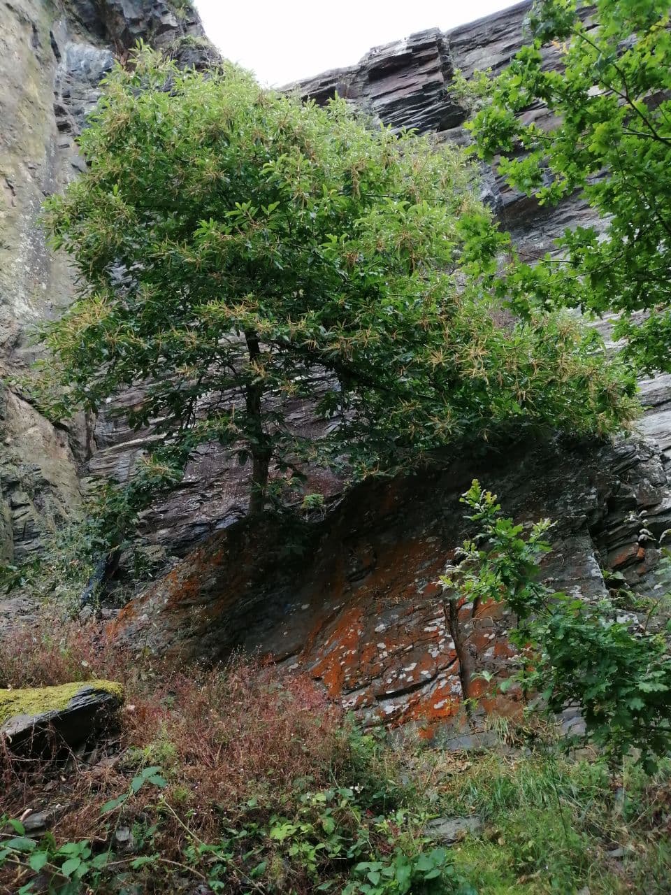 photo_2021-07-11_16-46-21