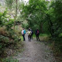 photo_2021-07-11_16-46-26 