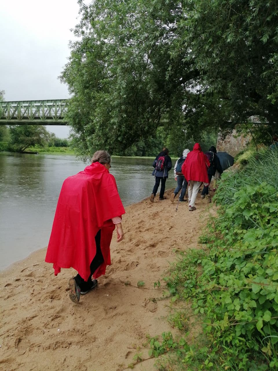 photo_2021-07-11_16-46-58