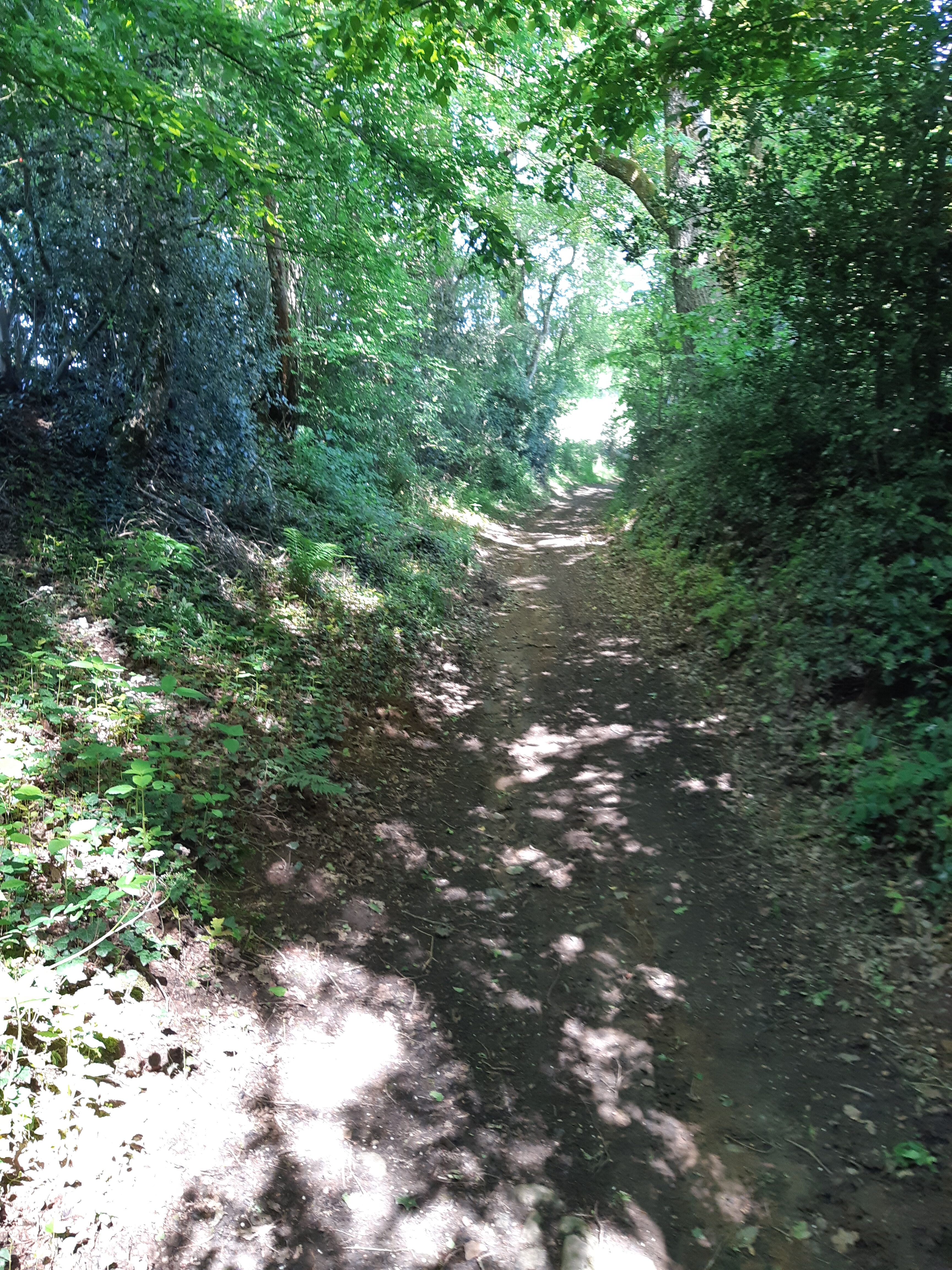 Belle descente