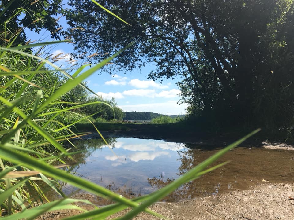 217836368_135691552014811_4714632960839460346_n