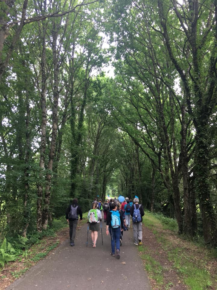 217918492_135036622080304_5098442442200397007_n