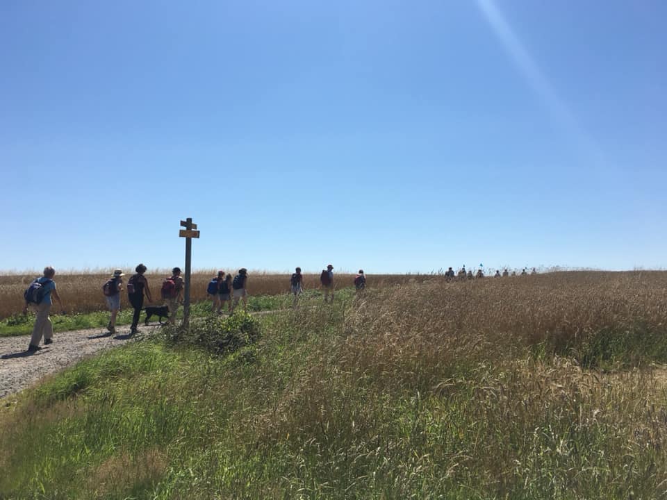 218239798_137049588545674_8257154835497378731_n