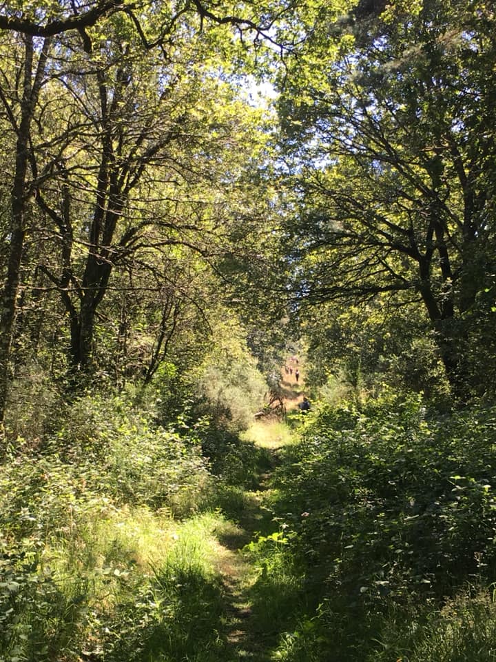 219365146_137049628545670_8441494377547455627_n