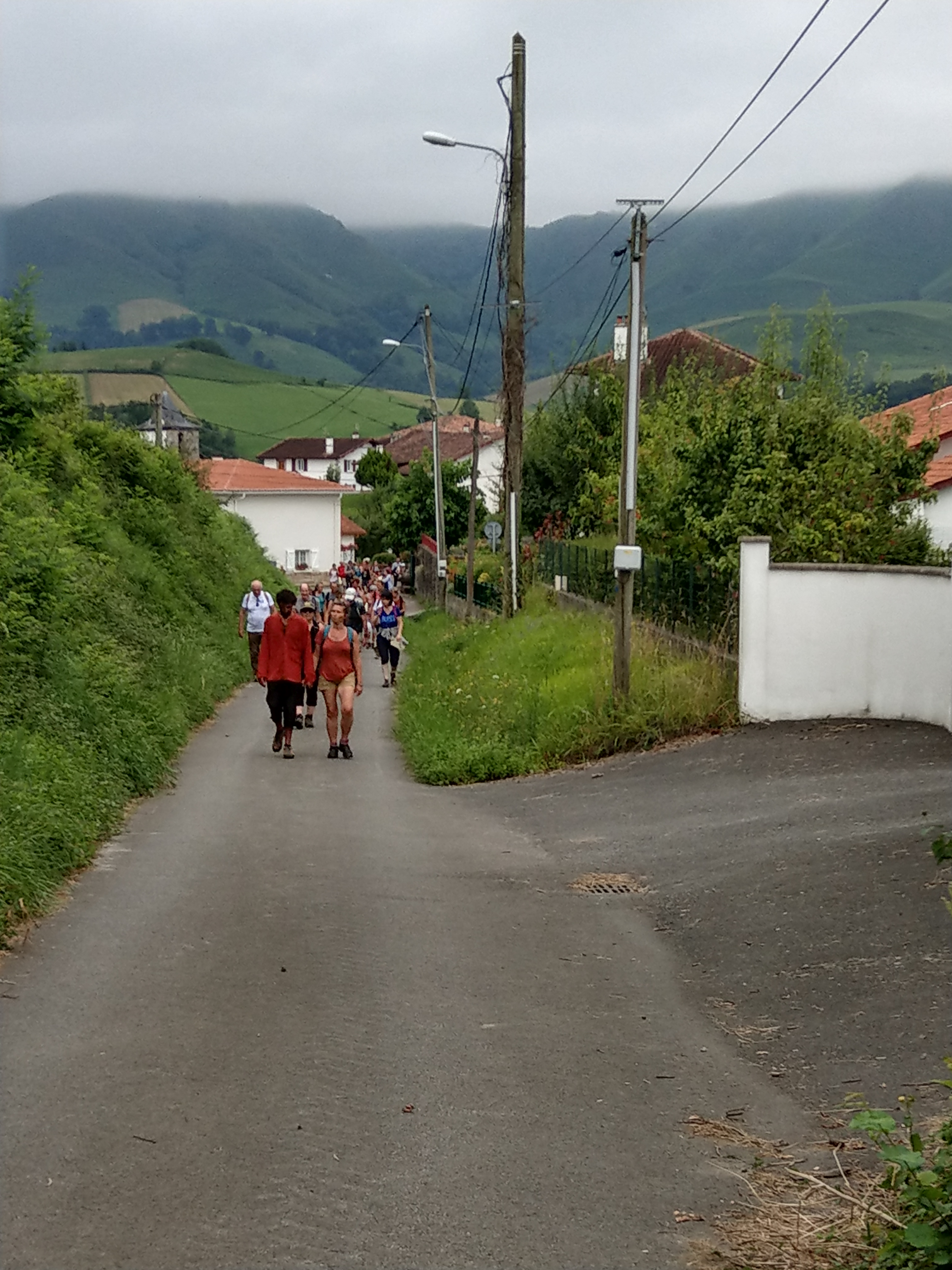 IMAG0710
